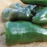peppers-ancho.jpg